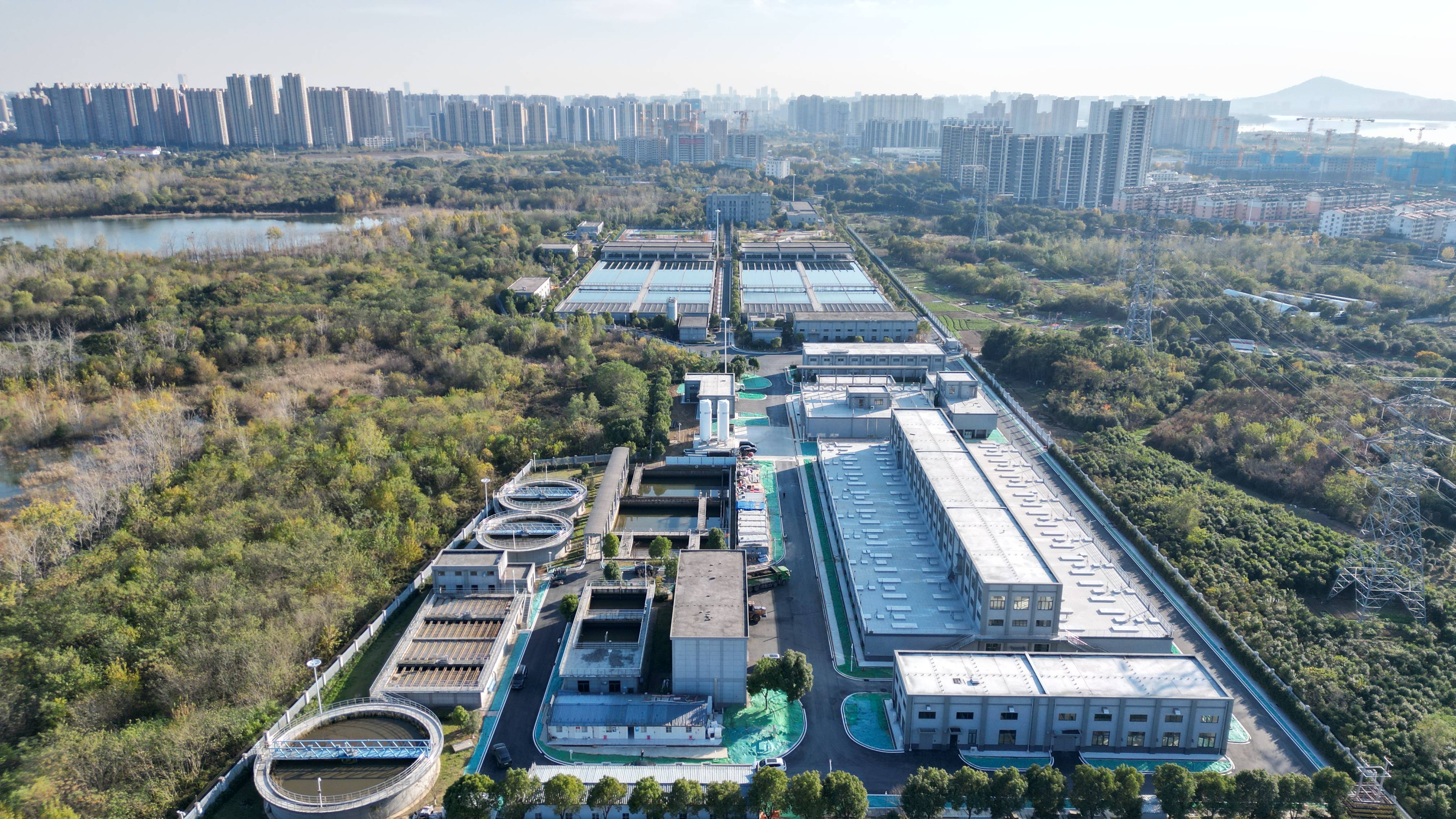 自贡市合肥专业企业价值增长(合肥市重点企业产业目录)