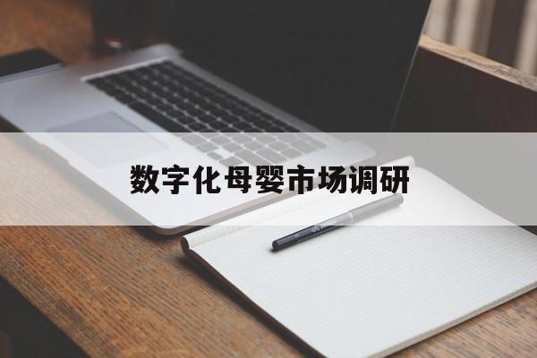 自贡市数字化母婴市场调研(数字化母婴市场调研报告)